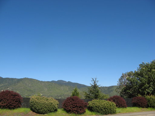 Media Image 2