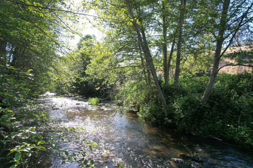 Media Image 3