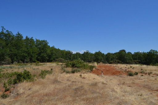 Media Image 3