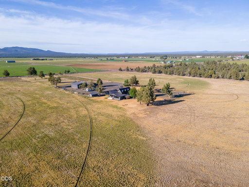 Media Image 3