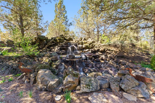 Media Image 3
