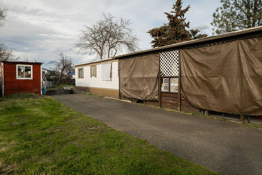 Media Image 3