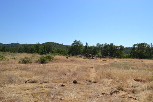 Media Image 2