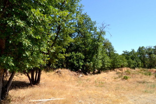 Media Image 2