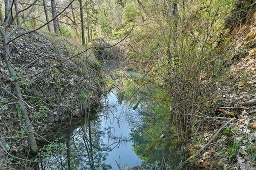 Media Image 2