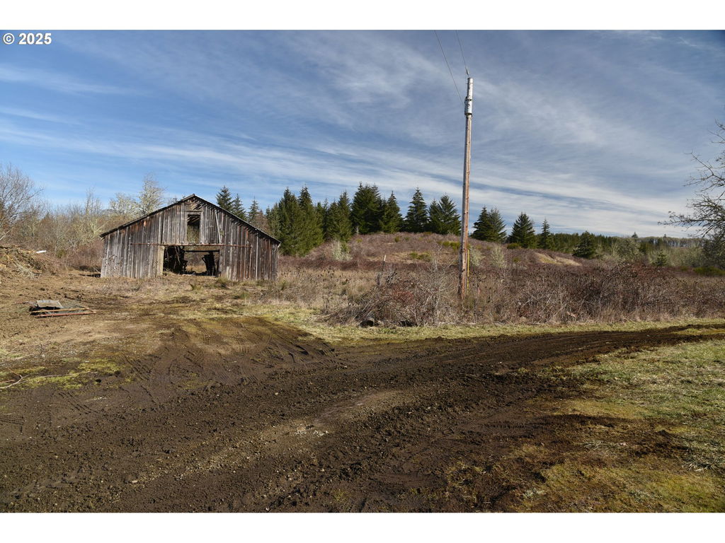 Media Image 1