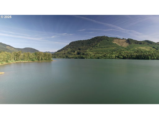 Media Image 2