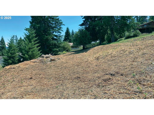 Media Image 3