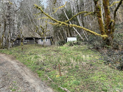 Media Image 3
