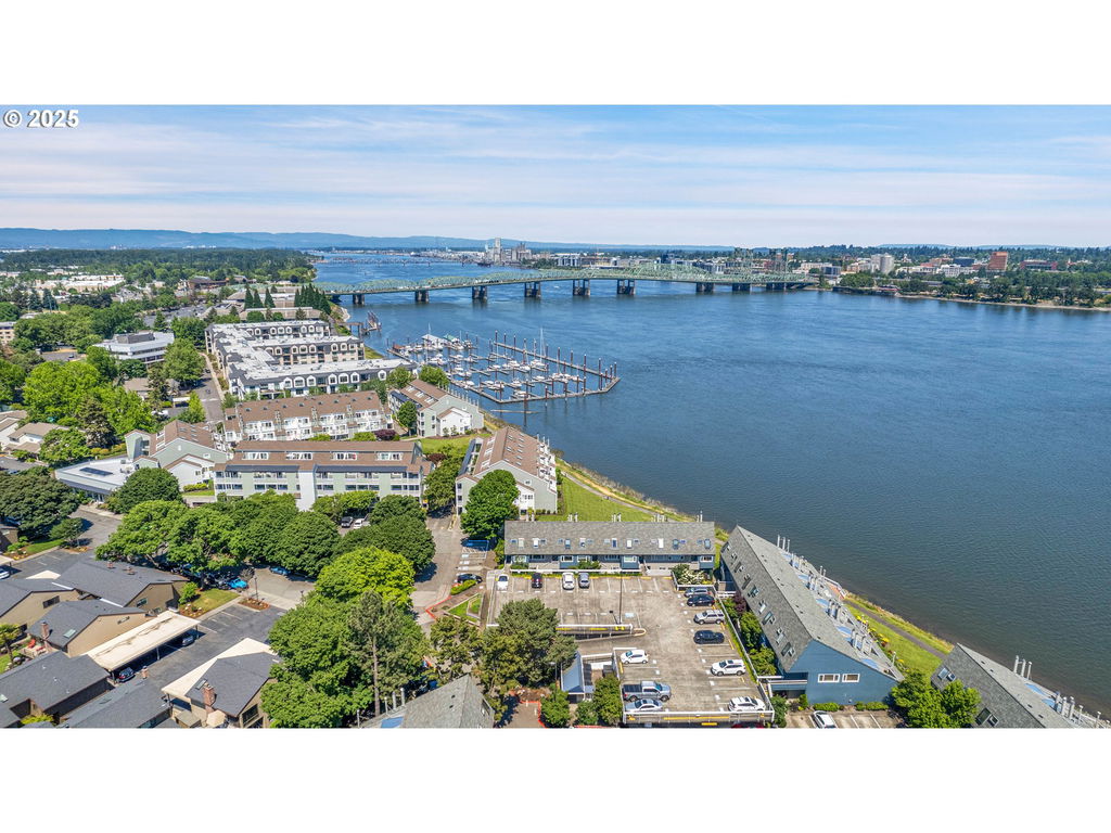 Media Image 1