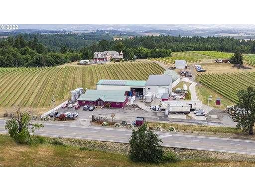 Media Image 2
