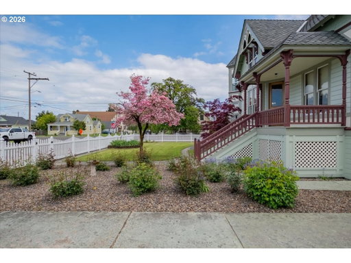 Media Image 3