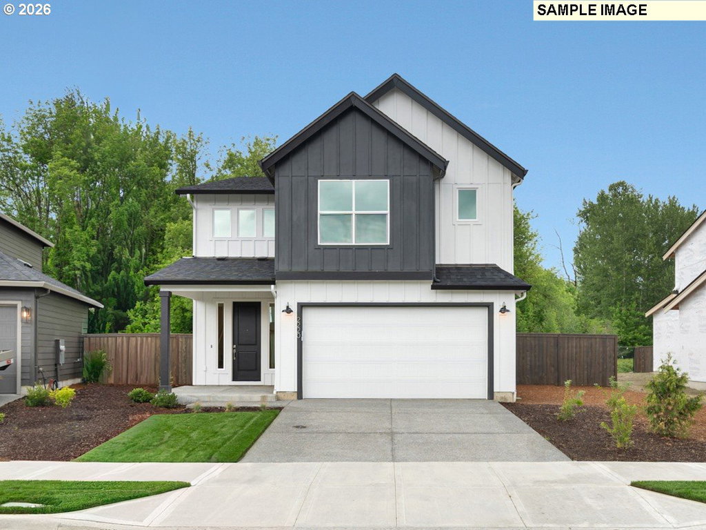 Media Image 1