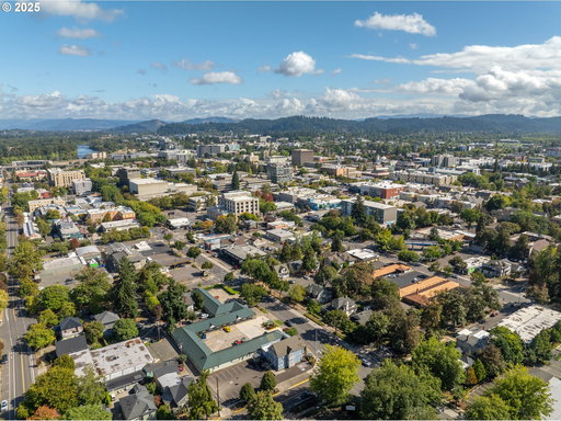 Media Image 3