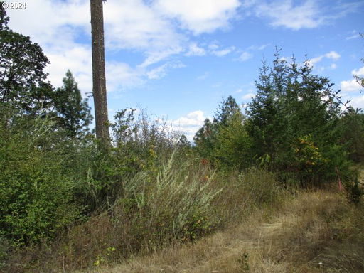 Media Image 3