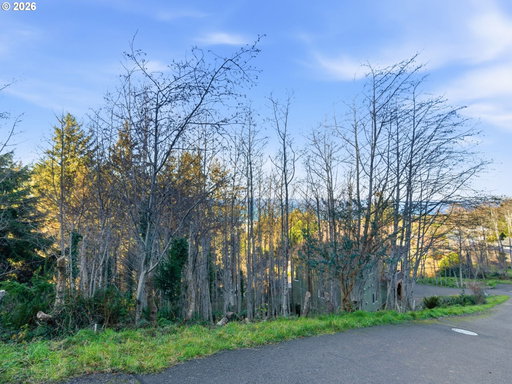 Media Image 3