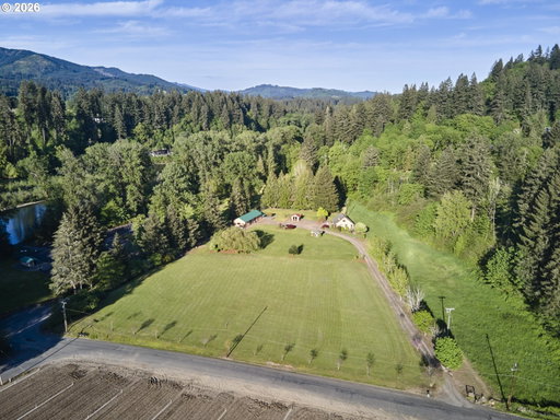 Media Image 2