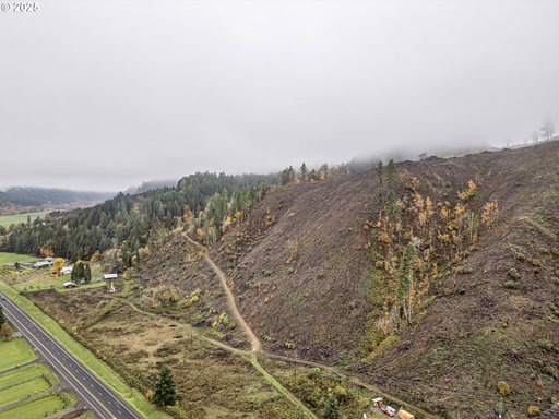 Media Image 2