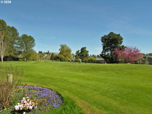 Media Image 2