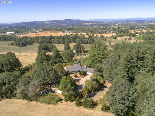 Media Image 3