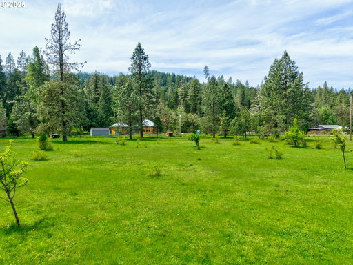 Media Image 2