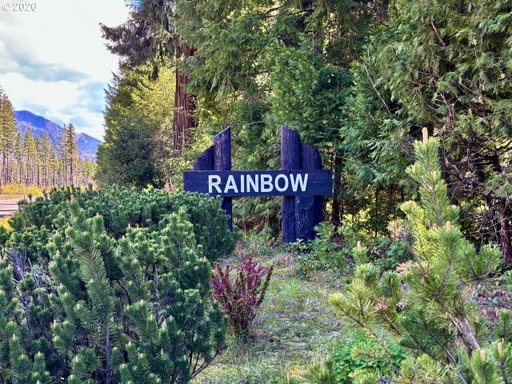 Media Image 2