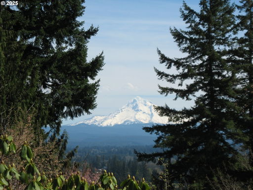 Media Image 2