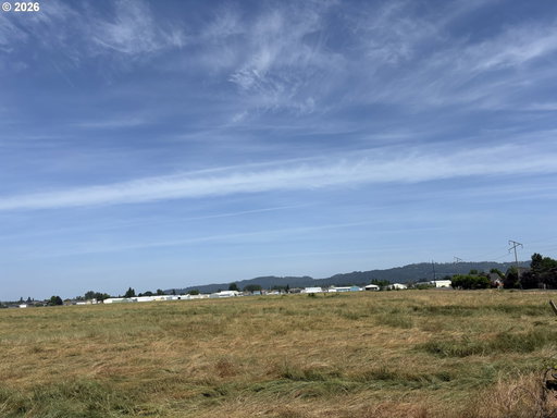 Media Image 3