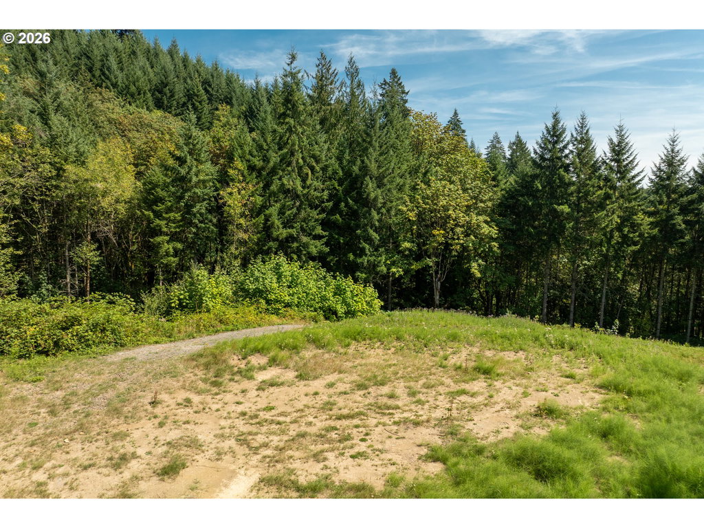 Image Unavailable