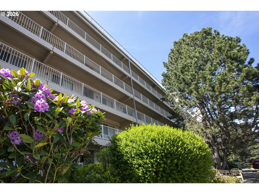 Media Image 2