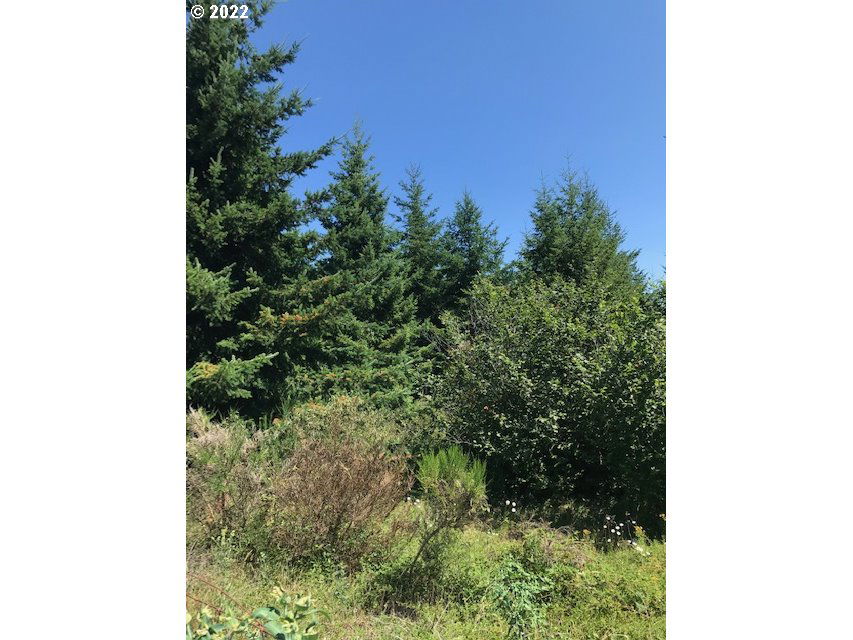 Image Unavailable