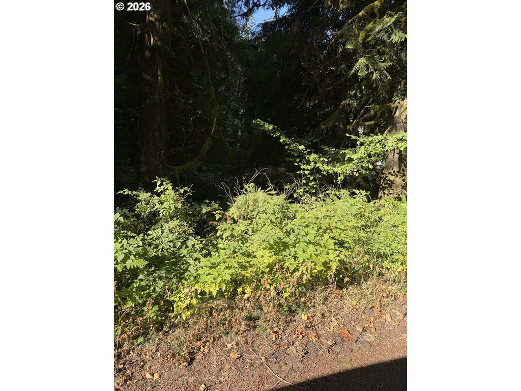Image Unavailable