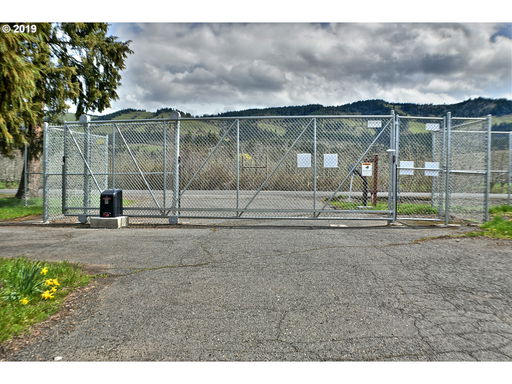 Media Image 3