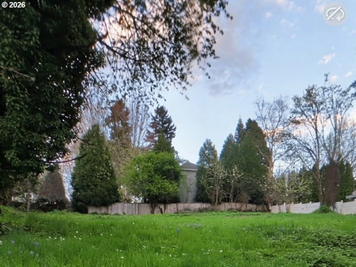 Media Image 3