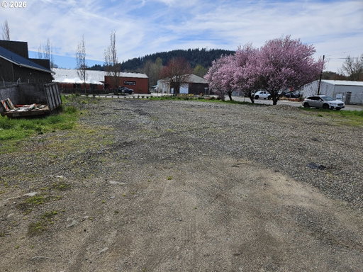 Media Image 3