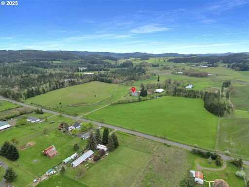 Media Image 2