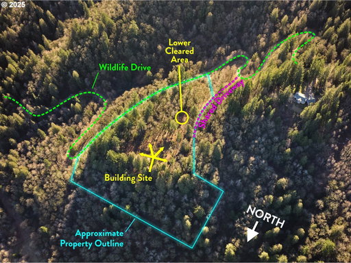 Media Image 2