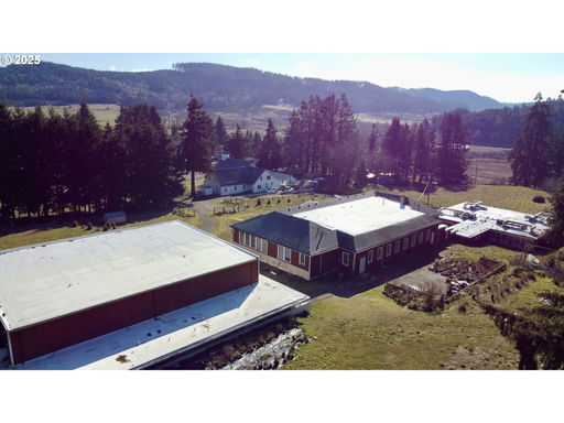 Media Image 2