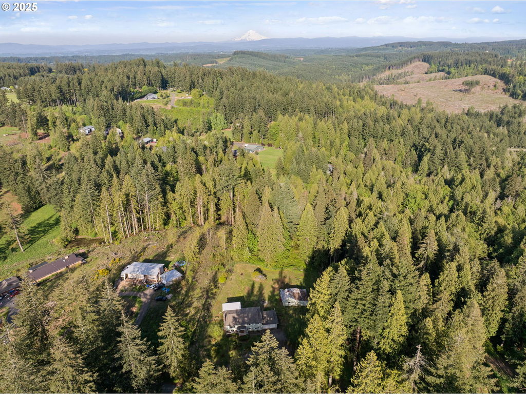 Media Image 1