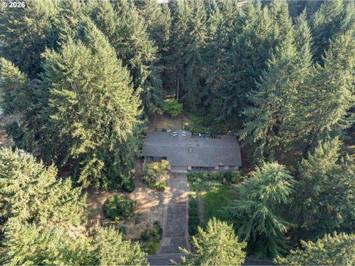 Media Image 3