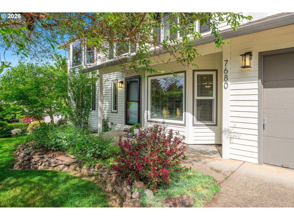 Media Image 1