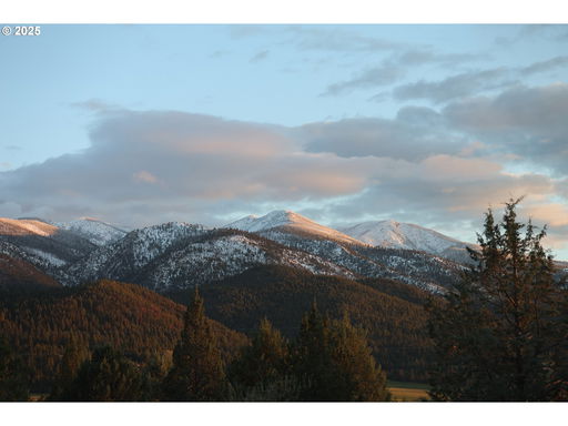 Media Image 3