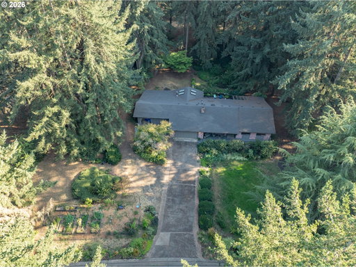Media Image 2