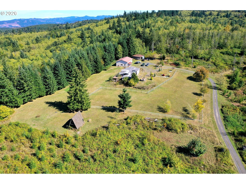 Media Image 1