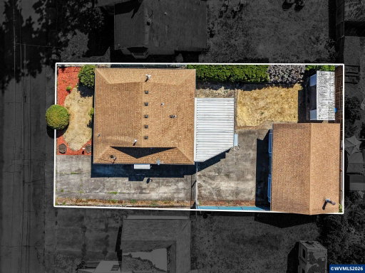 Media Image 3