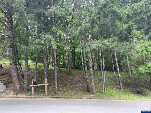 Media Image 2