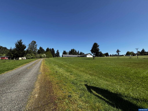 Media Image 2