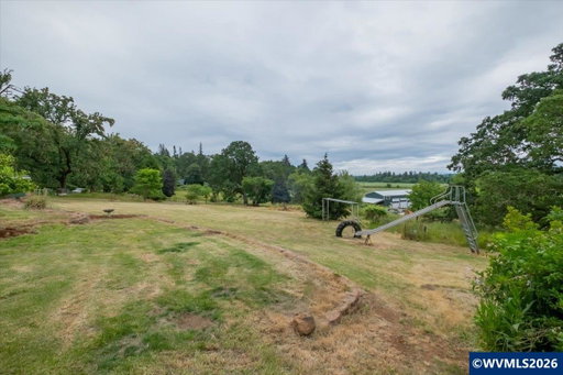 Media Image 3