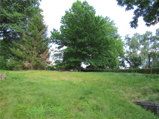 Media Image 3