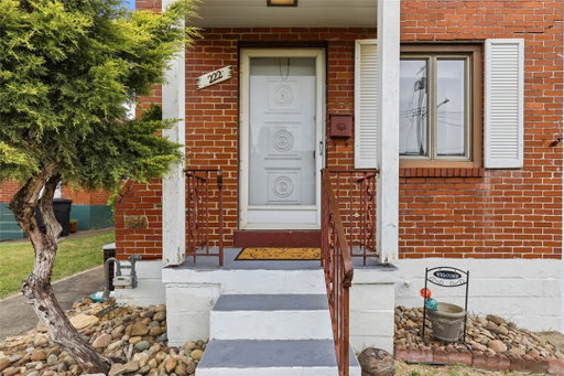 Media Image 3